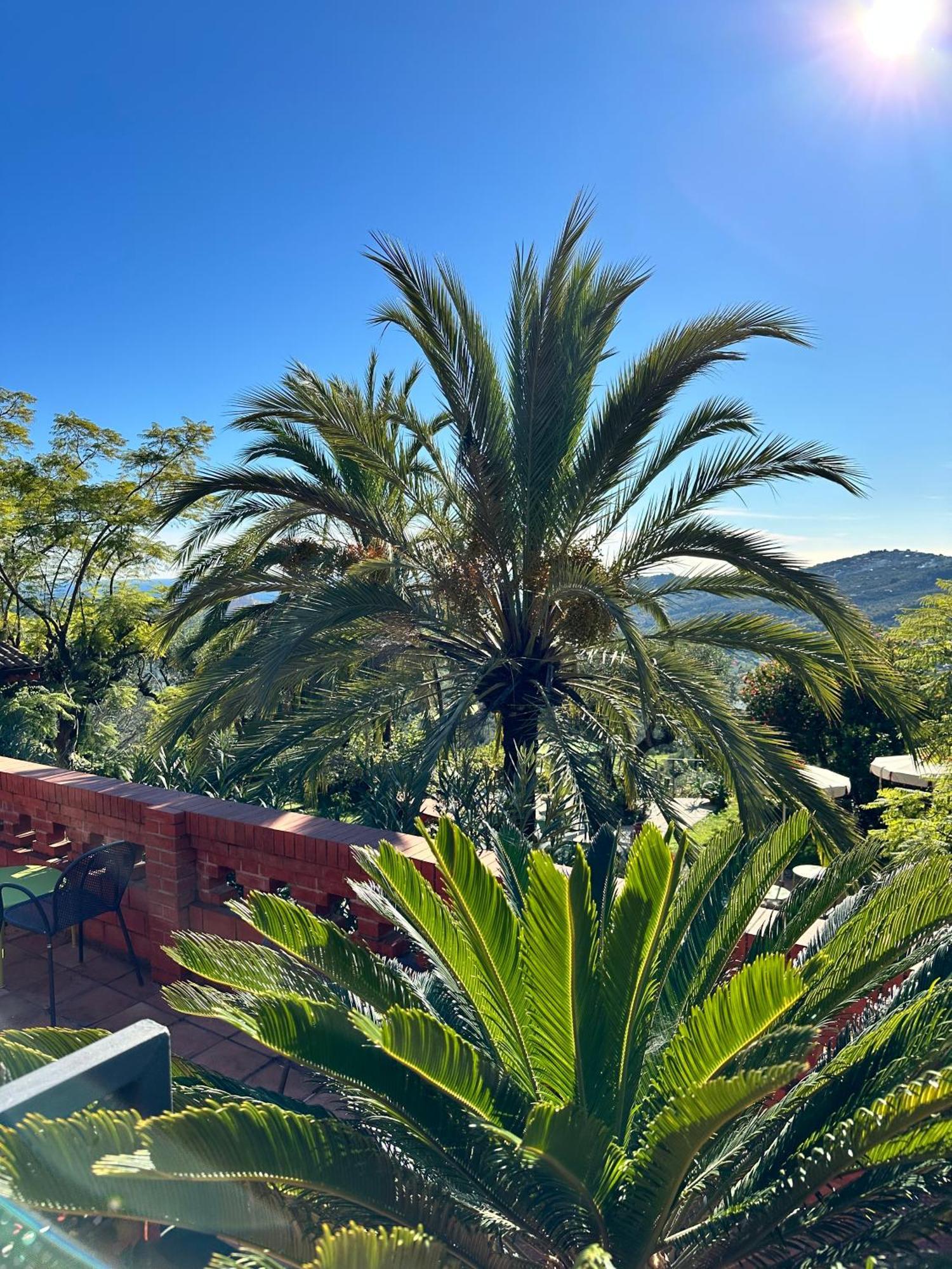 Relais San Damian Aparthotel อิมเปรีอา ภายนอก รูปภาพ